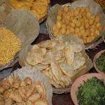 Vraj-Yatra-2014- (854)